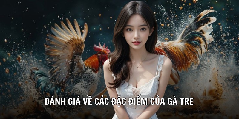 Đánh giá về các đặc điểm của gà tre