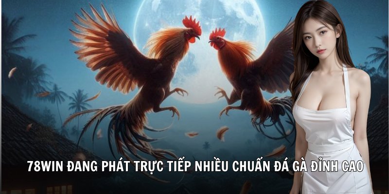 78win đang phát trực tiếp nhiều chuẩn Đá Gà đỉnh cao